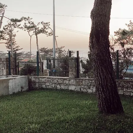 Casa Dos Pinheiros * Sao Pedro De Moel